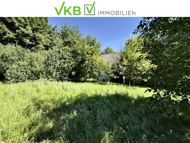 Immobilie in Seewalchen am Attersee - SEEWALCHEN AM ATTERSEE: Exklusives Wohn- und Arbeitsrefugium mit Weinkeller und Doppelcarport in begehrter Lage! - Bild 3