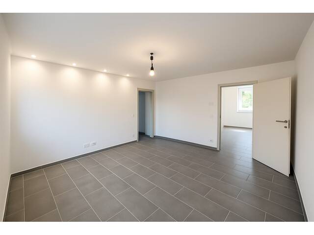 Immobilie in Wimpassing im Schwarzatale - Zwei Häuser, ein Preis - großzügiger Wohnraum für bis zu drei Familien - Bild 3