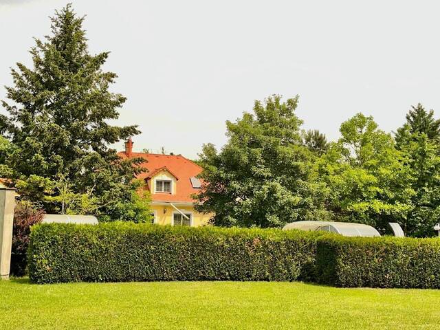 Immobilie in Pamhagen - Reiterparadies in Ungarn - Traumvilla OHNE Nachbarn - 8 Hektar Traumgrund mit Entwicklungspotenzial - 1h von Wien/15 Minuten zur Grenze Pamhagen - Bild 1