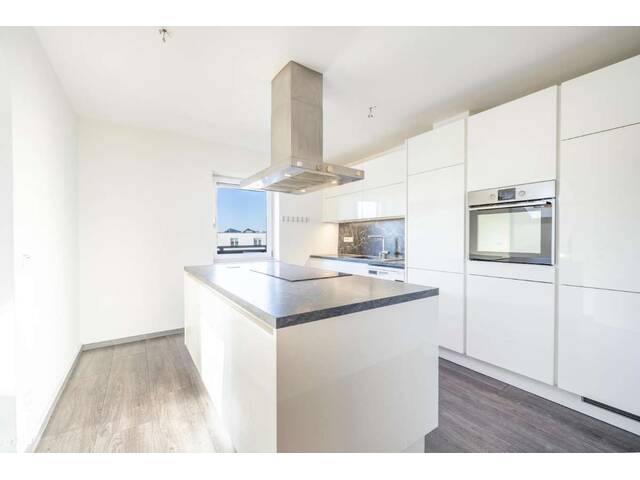 Immobilie in Neumarkt am Wallersee - Modernes Wohnhaus in Seenähe – Leben am Wallersee in Neumarkt - Bild 1