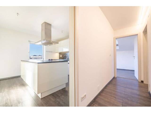 Immobilie in Neumarkt am Wallersee - Modernes Wohnhaus in Seenähe – Leben am Wallersee in Neumarkt - Bild 2