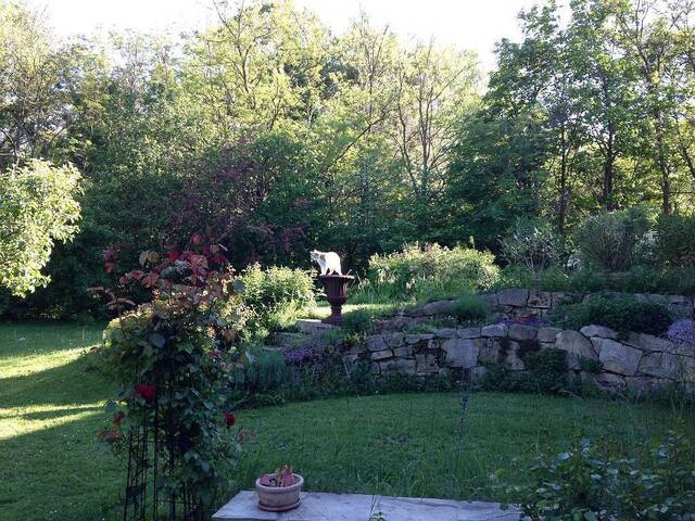 Immobilie in Potzneusiedl - WOHNEN WIE IM URLAUB MIT SCHWIMMTEICH - Bild 0