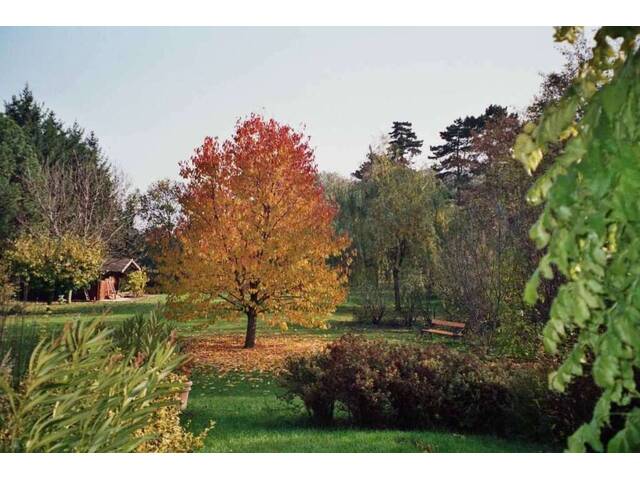 Immobilie in Potzneusiedl - WOHNEN WIE IM URLAUB MIT SCHWIMMTEICH - Bild 1