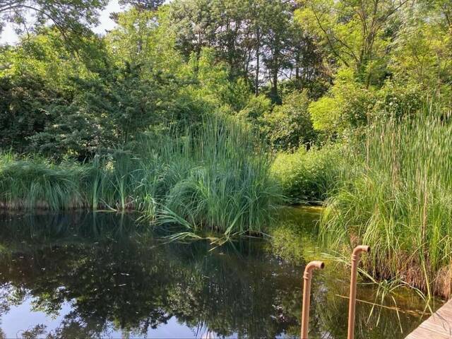 Immobilie in Potzneusiedl - WOHNEN WIE IM URLAUB MIT SCHWIMMTEICH - Bild 2