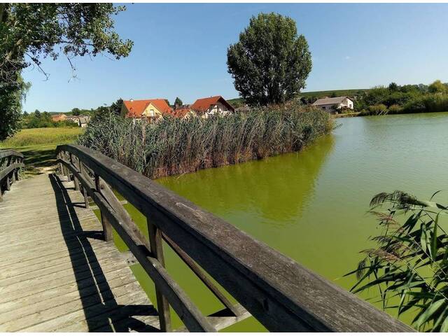 Immobilie in Kleinhadersdorf - Saniertes Landhaus im Weinviertel – 2.800 m², Stadel, Keller, Nähe Badeteich - Bild 2