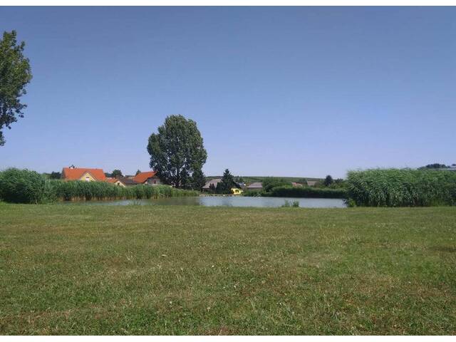 Immobilie in Kleinhadersdorf - Saniertes Landhaus im Weinviertel – 2.800 m², Stadel, Keller, Nähe Badeteich - Bild 3