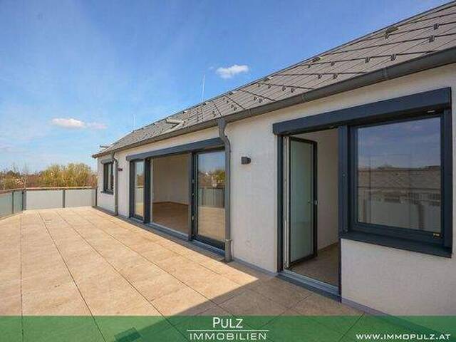 Immobilie in Laxenburg - DACHGESCHOSSAPPARTMENT mit PANORAMABLICK - Bild 1
