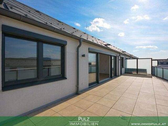 Immobilie in Laxenburg - DACHGESCHOSSAPPARTMENT mit PANORAMABLICK - Bild 2