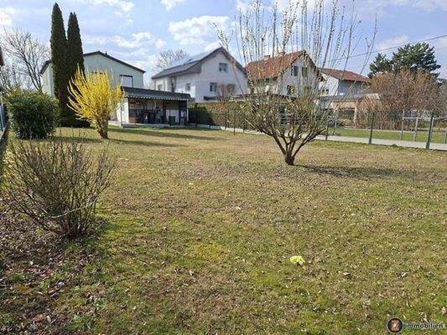 Immobilie in Neutal - Neutal: Gepflegtes Ein- Zweifamilienhaus - Bild 1