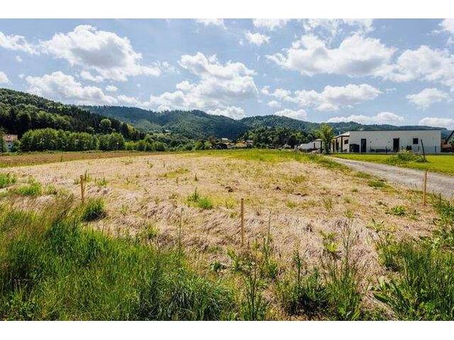 Immobilie in Arnfels - Erstbezugs-Bungalow in der Südsteiermark - bezugsbereit ab Juni 2026! - Bild 4