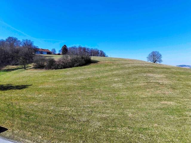Immobilie in Steyregg - Sonniger Rückzugsort: Grundstück mit Wochenendhaus nahe Linz. - Bild 1