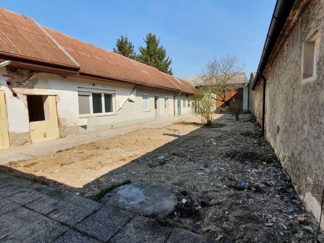 Immobilie in Tadten - Ein Paradies für Bastler und Visionäre - Entwicklungsobjekt mit großem Potential in Tadten - Bild 1