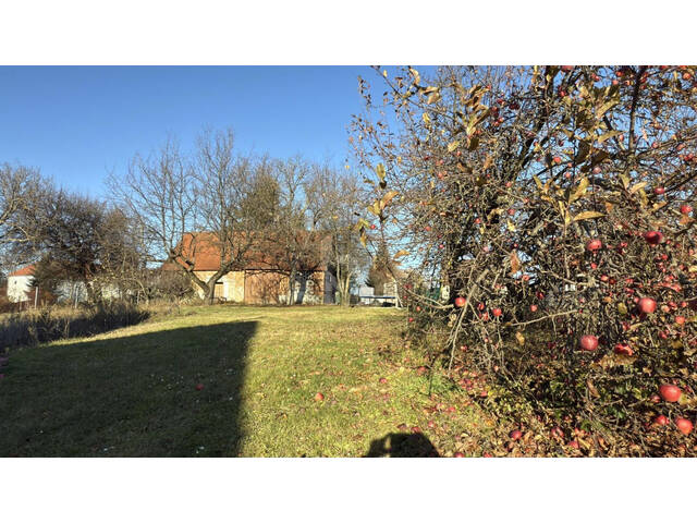 Immobilie in Unterloisdorf - TEILSANIERT MIT GROSSEM SONNIGEN GARTEN U. STADL - 2 ZUFAHRTEN - Bild 1