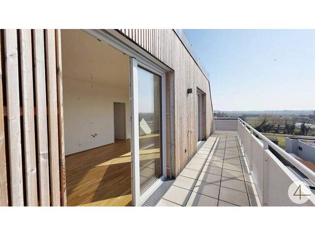 Immobilie in Kirchberg am Wagram - Wow - der Wohnbereich ist der HAMMER - Bild 0