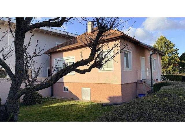 Immobilie in Guntramsdorf - Hier ist er: DER sagenumwobene BASTLERHIT - Bild 1