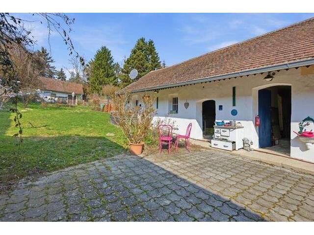 Immobilie in Puch - Traditionelles Bauernhaus mit großem Grundstück, Weinpresshaus, Keller und Nebengebäuden - Bild 0