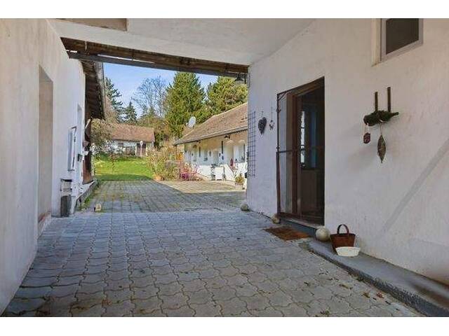 Immobilie in Puch - Traditionelles Bauernhaus mit großem Grundstück, Weinpresshaus, Keller und Nebengebäuden - Bild 1