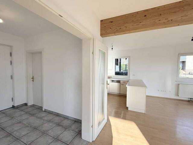 Immobilie in Moosdorf - Familienleben mit Freiraum - Einfamilienhaus mit Gästehaus und großem Garten in ruhiger Lage - Bild 3