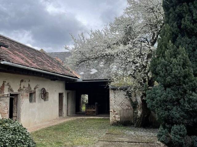 Immobilie in Patzmannsdorf - Preiswertes Bauernhaus in Patzmannsdorf – ideal für Selbstverwirklicher! - Bild 0