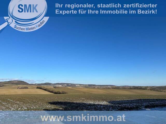 Immobilie in Ernstbrunn - Attraktives, preisreduziertes Frühjahrsangebot! - Bild 4