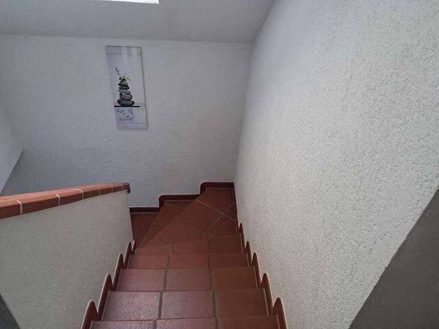 Immobilie in Mönchhof - Mönchhof - Wohnen & Arbeiten perfekt vereint - Ihr neuer Wohlfühlort wartet auf Sie! - Bild 4