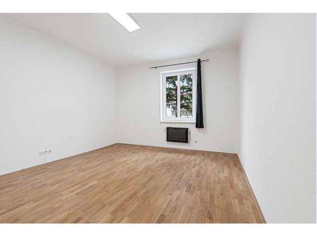 Immobilie in Gloggnitz - Wohnhaus mit drei Wohneinheiten! - Bild 4