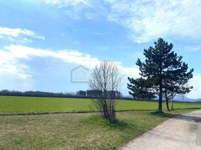 Immobilie in Felixdorf - Vollunterkellertes Einfamilienhaus - Viel Potenzial - Mach was draus! - Bild 1