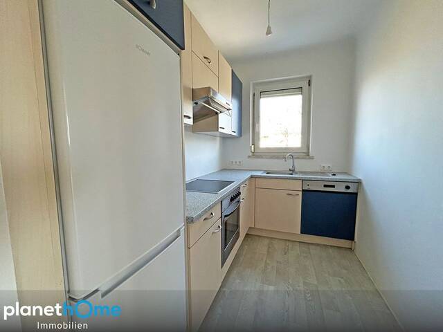 Immobilie in Auersthal - DG ohne Schräge / riesiger Gemeinschaftsgarten / Nähe Bockfließ - Bild 2