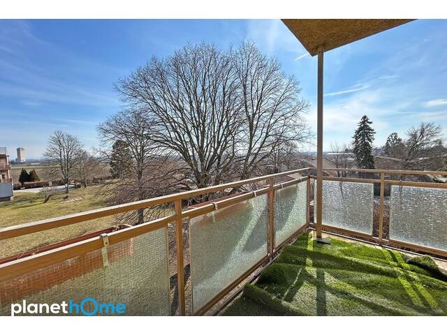 Immobilie in Auersthal - DG ohne Schräge / riesiger Gemeinschaftsgarten / Nähe Bockfließ - Bild 3