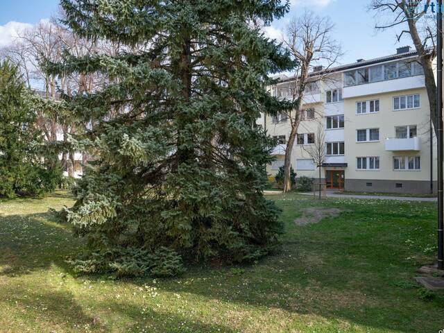 Immobilie in Baden - ZENTRAL und RUHIG: 3-Zimmer Wohnung inkl. Stellplatz - Nähe Zentrum, Rosarium & Strandbad - Bild 0