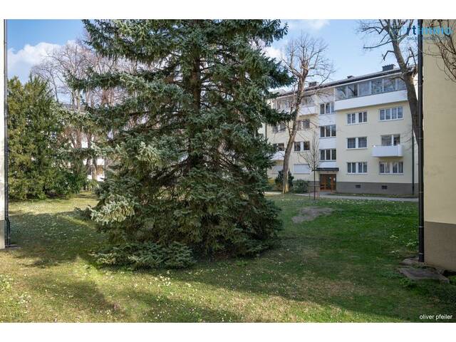 Immobilie in Baden - ZENTRAL und RUHIG: 3-Zimmer Wohnung inkl. Stellplatz - Nähe Zentrum, Rosarium & Strandbad - Bild 3