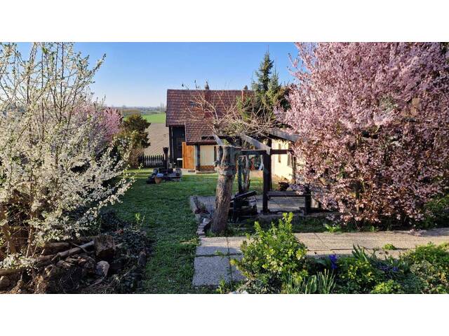 Immobilie in Chorherrn - Preisaktion ! Frühling 2026 ! Herrlicher Blick über Tullner Feld ! Jetzt Termin vereinbaren ! - Bild 1