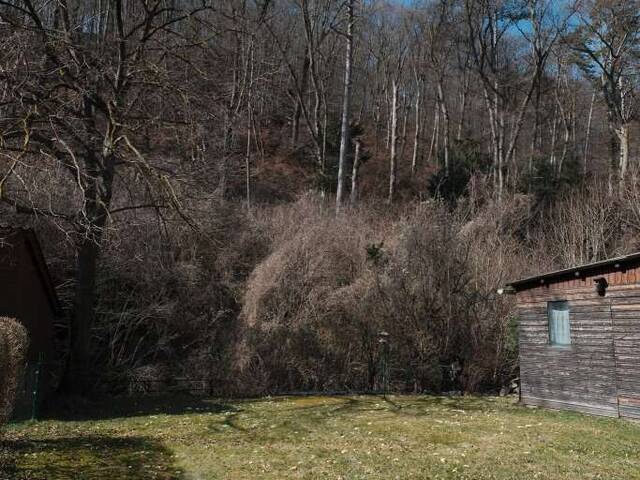 Immobilie in Hinterbrühl - 3 Zimmer Gartenwohnung direkt am Mödlingbach - Bild 1