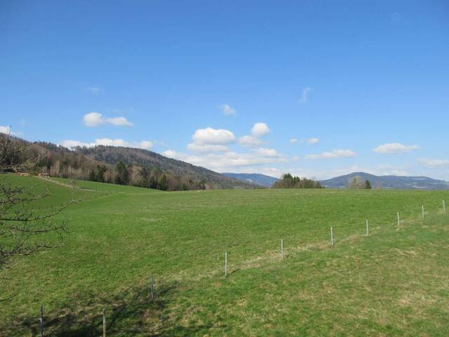 Immobilie in Wies - * URIGES BAUERNHAUS IN AUSSICHTSLAGE MIT MODERNEM WOHNKOMFORT * - Bild 4