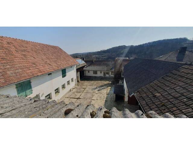 Immobilie in Puch - 2014 Puch - Pferdeeldorado nähe Hollabrunn / Stockerau ! - Bild 0