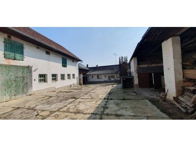 Immobilie in Puch - 2014 Puch - Pferdeeldorado nähe Hollabrunn / Stockerau ! - Bild 2