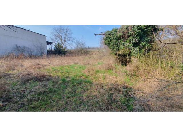 Immobilie in Puch - 2014 Puch - Pferdeeldorado nähe Hollabrunn / Stockerau ! - Bild 4