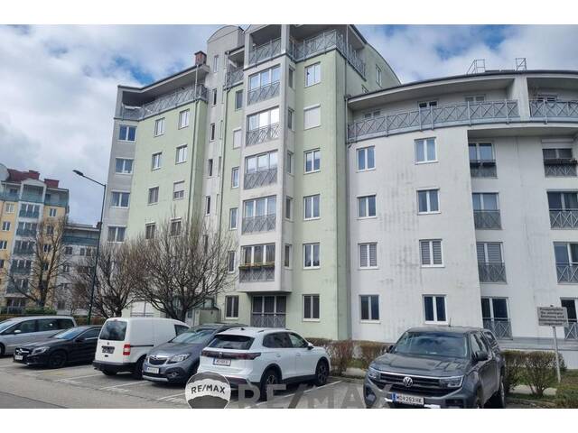 Immobilie in Wiener Neudorf - newRBR! - Bild 3