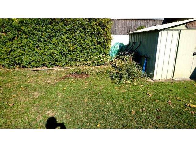 Immobilie in Strasshof an der Nordbahn - Schönes Eckgrundstück mit geräumigem, vielseitig nutzbarem Wohnhaus - derzeit 2 Wohneinheiten! - Bild 3