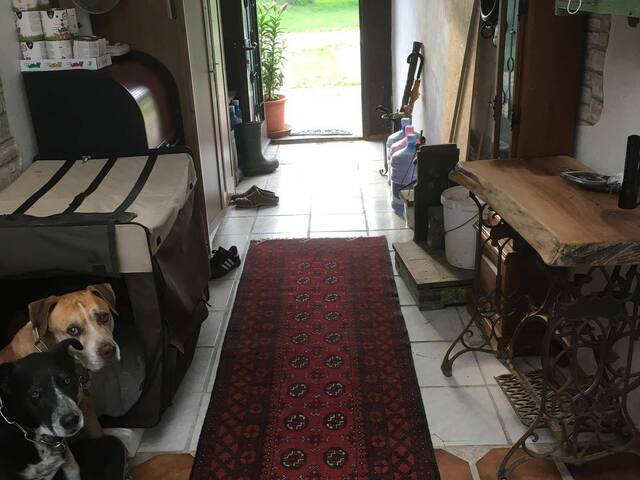 Immobilie in Deutsch Jahrndorf - PROVISIONSFREI !!! Historisches Bäckerhaus, Miet-Kauf Möglichkeit! - Bild 4