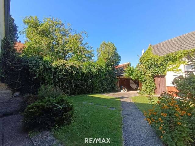 Immobilie in Kottingbrunn - FEINES HAUS IN KOTTINGBRUNN - Bild 3