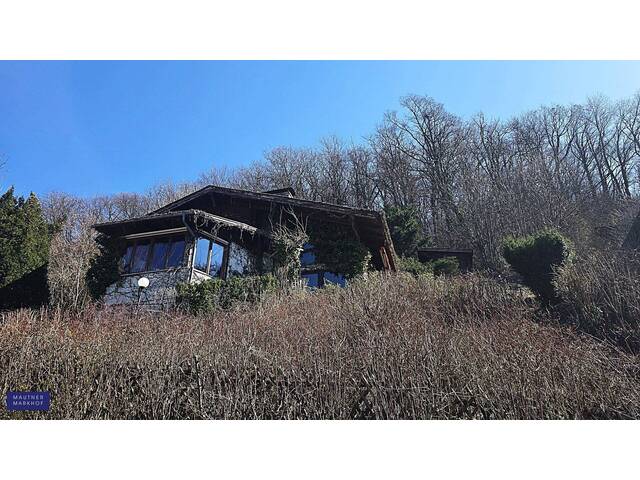 Immobilie in Altenberg - Donaublick traumhaft - Wochenendhaus mit fantastischen Ausblick über die Donauauen und in das Weinviertel! - Bild 1