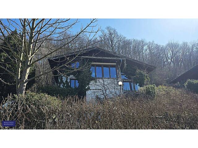 Immobilie in Altenberg - Donaublick traumhaft - Wochenendhaus mit fantastischen Ausblick über die Donauauen und in das Weinviertel! - Bild 2