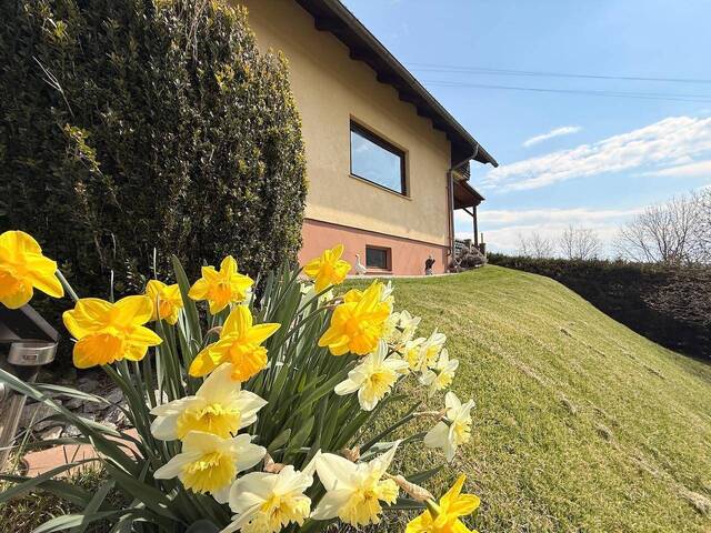 Immobilie in Bad Gleichenberg - Raum für Ideen, Leben und Zukunft - Einfamilienhaus mit großem Garten in der Thermenregion Bad Gleichenberg - Bild 2