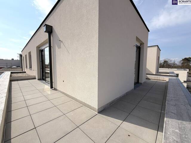 Immobilie in Groß-Enzersdorf - WOW wie cool!! Geniale DG- Wohnung mit 4 Zimmer und 2 Terrassen! Ab Q3/26 - Bild 2