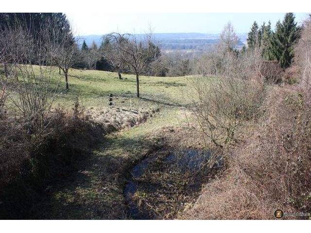 Immobilie in Wolfau - Absolute Ruhelage: Leben im Einklang mit der Natur! - Bild 2