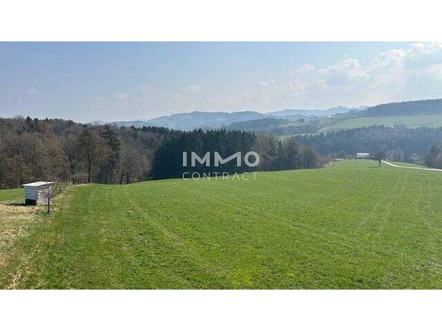 Immobilie in Hofstetten - Neuwertiges Traumhaus mit Fernblick - Bild 2