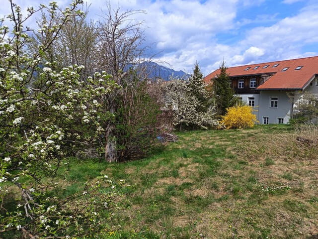 Immobilie in Rinn - Große Chance!! Zweifamilienhaus ideal auch für Praxis, in Rinn, mit 1800 qm großen Grundstück!! - Bild 3