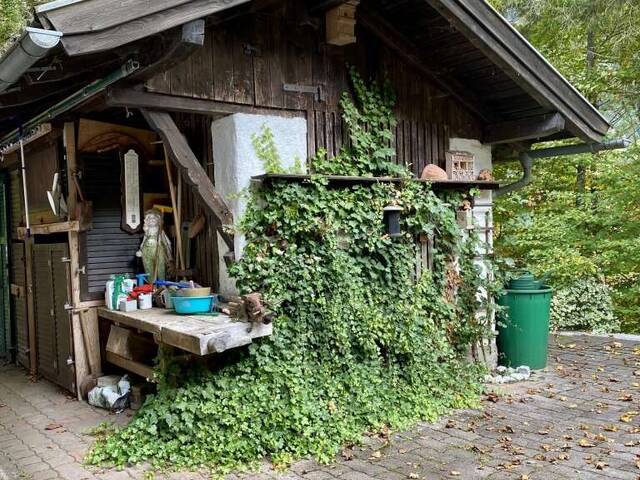 Immobilie in Scheffau am Tennengebirge - Ihr Traum in absoluter Ruhelage - Bild 1