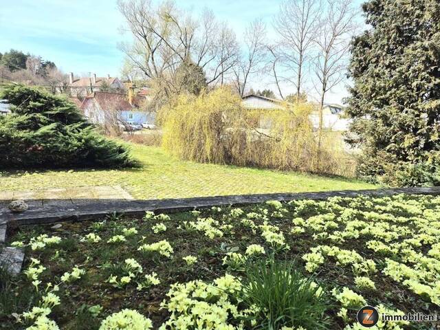 Immobilie in Lockenhaus - Großzügiges Wohnhaus mit Lift und viel Potential - Bild 1